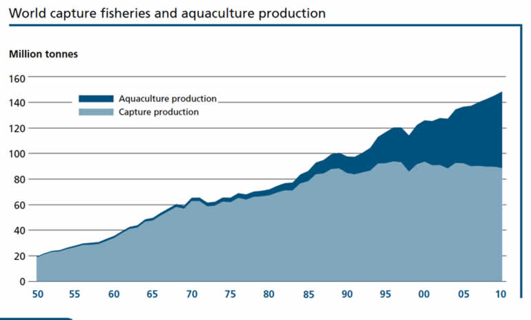 World Capture Fisheries and Auaculture Production